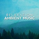 Positive Thinking Music To Develop A Complete Meditation Mindset For Yoga Deep Sleep Zen Meditation and Natural White… - Mind Journey