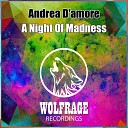 Andrea D amore - A Night Of Madness Original Mix