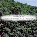 Mindfulness Slow Life Selection - Asphalt Self Control Original Mix
