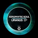 Xerophytic Soul - Sea Breeze Original Mix