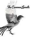 The Common Linnets - Arms Of Salvation