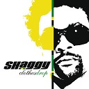 Shaggy - Repent