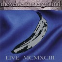 Velvet Underground The - Venus In Furs