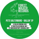 Pete Kaltenburg - Night Club Original Mix