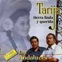 Los Andaluces - Tierra Querida