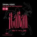 Trivial Voice - The Beat of the Flamenco Extended Mix