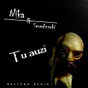 NIKA feat Seredinschi - Tu auzi Mattend Remix