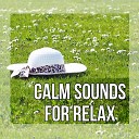 Time of Relax Universe - Yoga Sounds