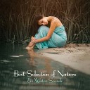 Calming Water Consort - Good Vibrations