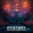 Dual Vision - Mystery