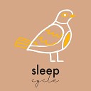 Nursery Rhymes Baby TaTaTa Sleep Cycle Music - Dreams
