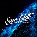 Sam Feldt - Reality