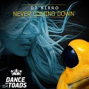 DJ Nirro - Never Coming Down Radio Edit