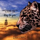 Cristopher Costta Elegant Ape - Way To You Original Mix