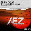 O B M Notion - Indescribable Feeling Original Mix