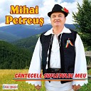 Mihai Petreu - Omule de mine ascult