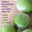 Zippy Kid - Sound Sound Sound Surround with Joel Sattler Delycanthrope Four04…