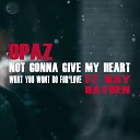 Opaz feat Ray Hayden - What You Wont Do for Love