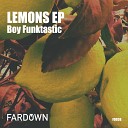 Boy Funktastic - Fix Original Mix