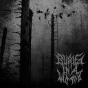 Buried in a Womb - Vaginal Emesis to See the Light of the Day