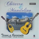 Chitarra Mandolino - Palomma e notte