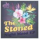 The Stoned - Night Mood Original Mix