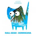 Raul Desid - Technician Original Mix