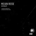 Melvin Reese - Day Walker Original Mix