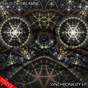 Yield Of Dreams - Synchronicity Original Mix