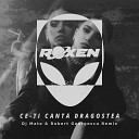Roxen - Ce Ti Canta Dragostea DJ Mate Robert Georgescu…