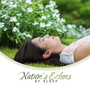 Relax Meditate Sleep All Night Sleeping Songs to Help You… - Vibes of Healthy Dreams