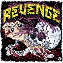 Revenge - Manic Depression