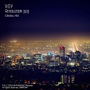 V O Y - Revolution 303 Original Mix