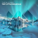 The Blizzard - Tiny Little Molecule Original Mix