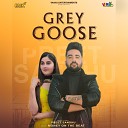 Preet Sandhu - Grey Goose