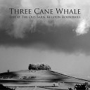Three Cane Whale - Cassiopeia Live