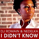 Dj Romain, Nedelka - I Didn't Know (Original House Mix)