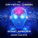 Sonic Species Mad Maxx - Crystal Vision Original Mix