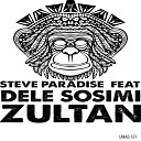 Steve Paradise feat Dele Sosimi - Zultan Crazy Hammond Mix