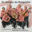 Os Amigos Do Borguinha - Rosa Vermelha