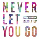 Rudimental feat Foy Vance - Never Let You Go feat Foy Vance Feder Remix
