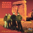 The David Bacha Band - Seeds and Stems