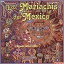 Los Mariachis de M xico Alejandro Carillo… - Al Fin Te Encontr