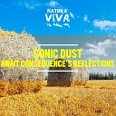 Sonic Dust feat Minette - Await