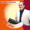 Andy Steiner - Die Zeit heilt keine Wunden