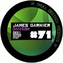 James Garnier - Disco Babe Original Mix