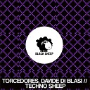 Davide Di Blasi Torcedores - Techno Sheep Original Mix