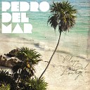 Various - Playa Del Lounge compiled by P