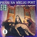Piotr Piotrowski - Posypmy glowy popiolem