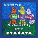 Vogel Music Orchestra - A Rychle Dom Teto Kv to ek T Tam trajch…